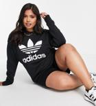 Adidas Originals Plus Adicolor Large Logo Sweatshirt In Black