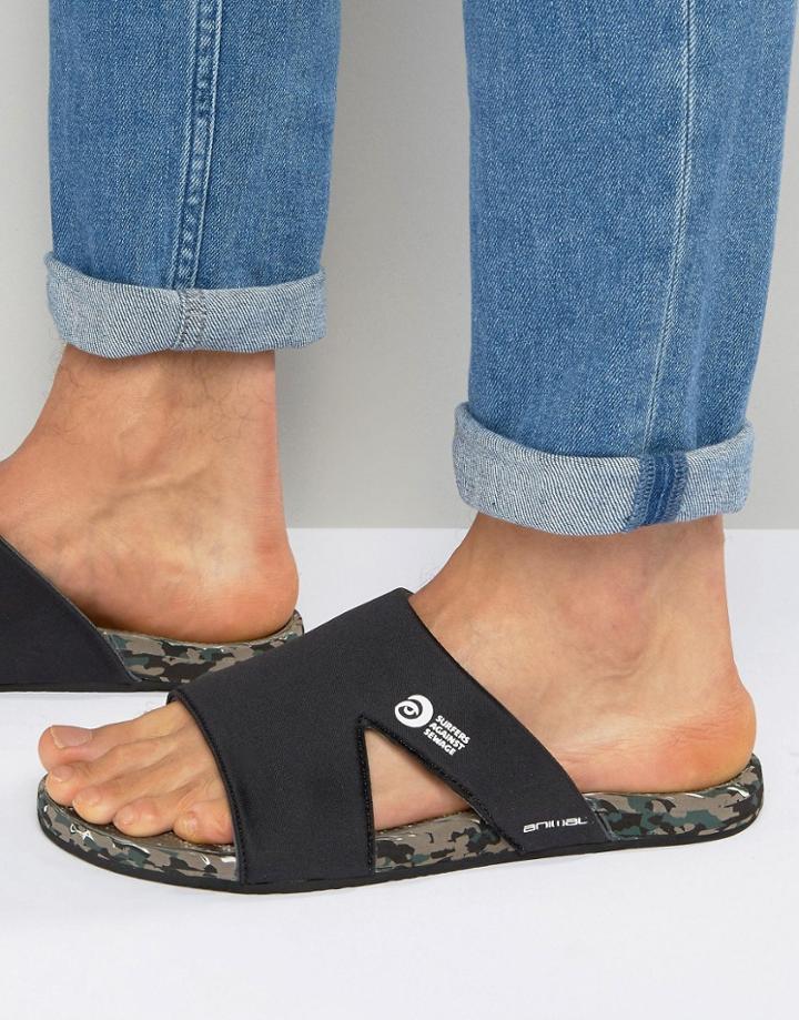 Animal Aggro Flip Flops - Gray