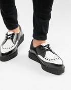 T.u.k Pointed Creepers In Black Leather With White Vamp - Black