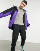 The North Face 1994 Retro Mountain Light Futurelight Jacket In Purple