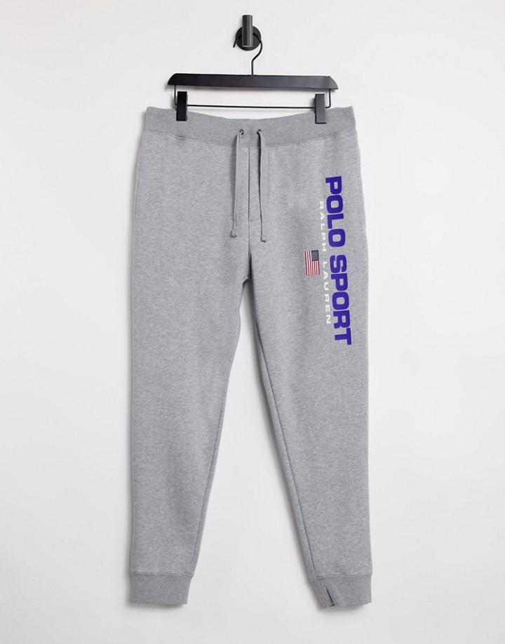 Polo Ralph Lauren Sport Capsule Sweatpants In Andover Heather-grey