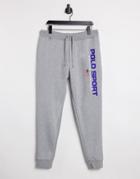 Polo Ralph Lauren Sport Capsule Sweatpants In Andover Heather-grey