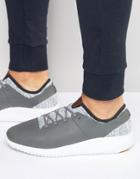 Boxfresh Ceza Sneakers - Gray