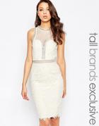 Little Misstress Tall Lace Cutwork Pencil Dress With Mesh Insert - Cream
