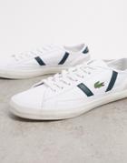Lacoste Sideline Leather Sneakers With Green Stripes-white