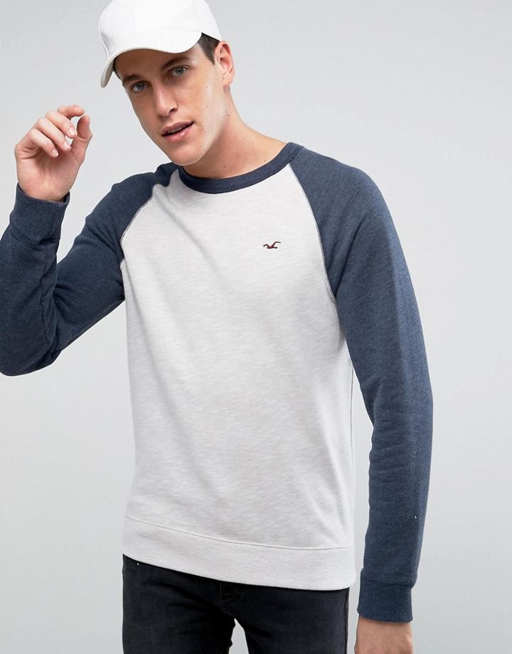 Hollister Icon Crew Neck Sweatshirt Contrast Raglan Sleeves Regular Fit In Oatmeal/navy - Beige