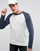 Hollister Icon Crew Neck Sweatshirt Contrast Raglan Sleeves Regular Fit In Oatmeal/navy - Beige