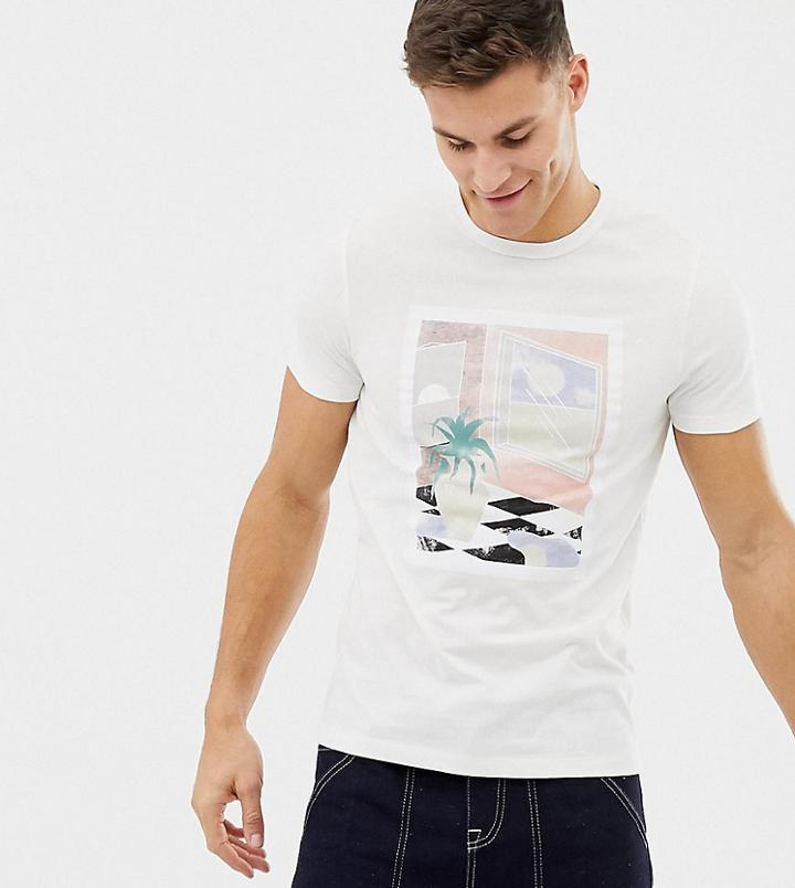 Noak T-shirt With Palm Print - White