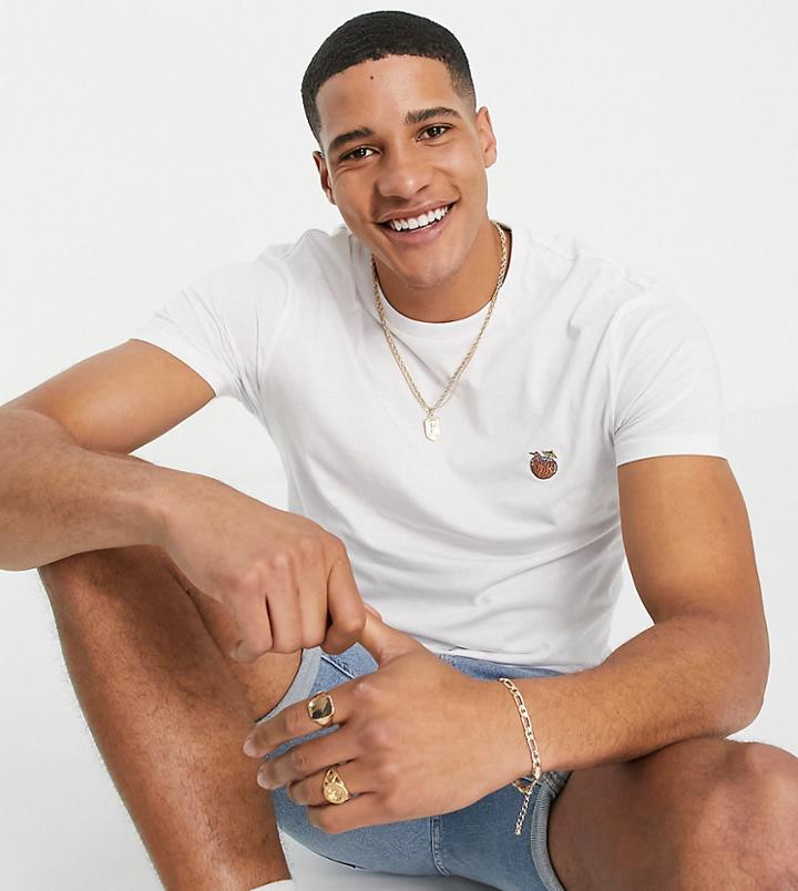 Threadbare Tall Coconut Embroidery T-shirt In White