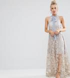 True Decadence Petite Halter Neck Maxi Dress In Allover Floral Embroidery - Multi