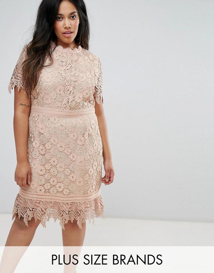 Truly You Contrast Lace Mini Dress With Insert Trim - Pink