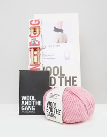 Wool & The Gang Diy Zion Lion Pom Hat Kit - Pink