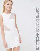 Tfnc Petite Mesh Insert Bodycon Dress - White