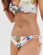 Dorina Whitehaven Bikini Bottom In White Multi - White