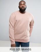 Le Breve Plus Crew Neck Sweat - Pink