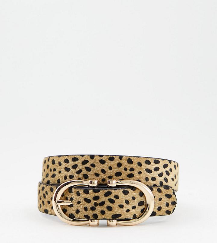 Glamorous Exclusive Waist And Hip Jeans Belt In Cheetah Print With Gold Hardware-multi