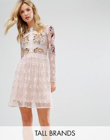 Frock And Frill Tall Premium Embroidered Lace Prom Skater Dress - Multi