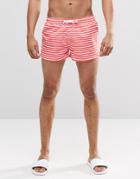 Swells Red Stripe Short Shorts - Red