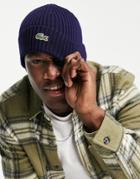 Lacoste Logo Beanie Hat In Navy