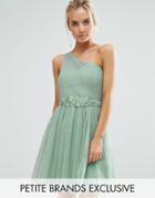 Little Mistress Petite Full Prom Tulle One Shoulder Mini Dress With Lace Applique - Green