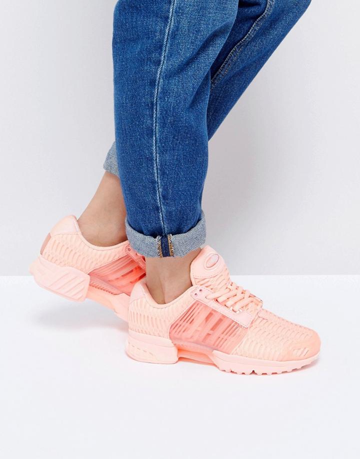 Adidas Originals Haze Coral Climacool Sneakers - Pink