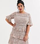 Little Mistress Plus Lace Frill Mini Dress With Laddering Insert In Mink-pink