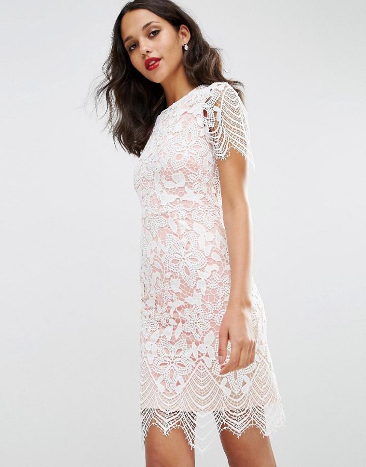 Asos Bodycon Pencil Dress In Border Lace - White