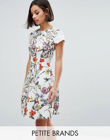 Uttam Boutique Petite Skater Dress With Pleated Neckline - Cream