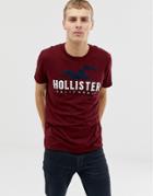 Hollister Chest Embroidered Seagull Logo T-shirt In Burgundy - Red