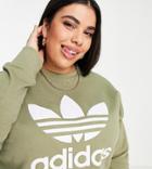 Adidas Originals Plus Adicolor Large Logo Sweatshirt In Khaki-green