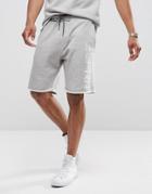 Esprit Jersey Shorts With Side Logo In Organic Cotton - Gray