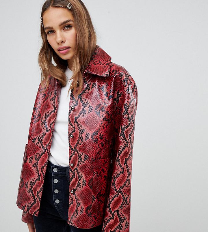 Cli Cli By Clio Peppiatt Faux Snake Jacket-multi