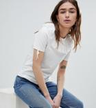 Lost Ink Petite Fitted T-shirt With Lace Ruffle Collar - White
