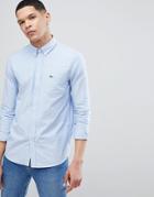 Lacoste Oxford Logo Shirt In Sky Blue