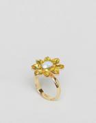 Johnny Loves Rosie Statement Floral Gem Ring - Gold