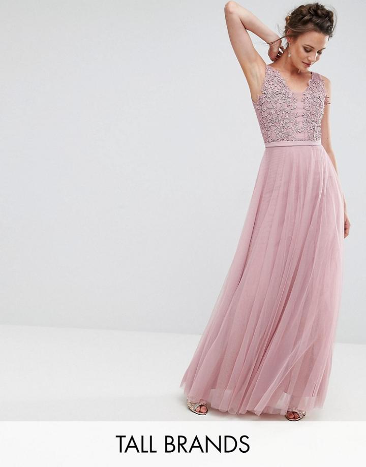 Little Mistress Tall Floral Applique Top Maxi Prom Dress - Pink