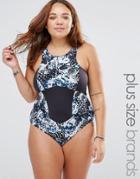 Robyn Lawley Broken Wings Halter Neck Swimsuit - Black