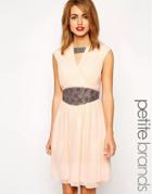 Little Mistress Petite Embellished Waist Skater Dress - Pink