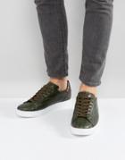 Armani Jeans Faux Croc Sneakers In Khaki - Green