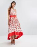 Coast Charron Organza Dress - Red