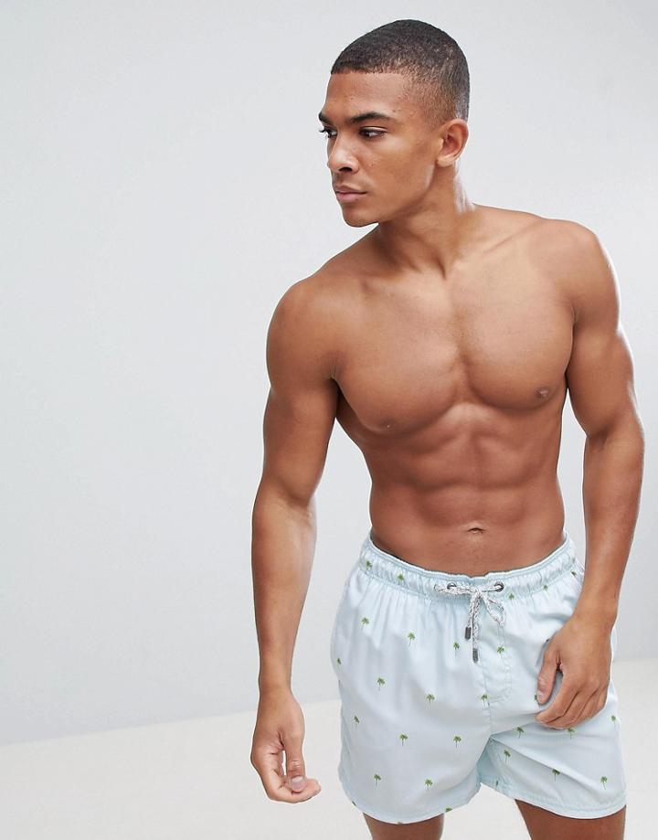 The Endless Summer Swim Shorts With Palm Print - Green