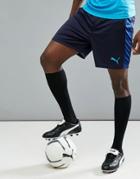 Puma Soccer Evotrg Training Shorts In Navy 65534850 - Navy
