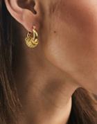 Whistles Mini Hoop Earrings With Ring Detail In Gold