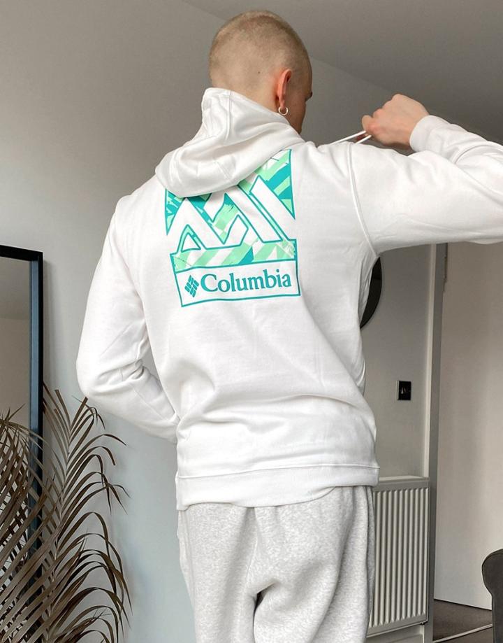 Columbia Basic Logo Hoodie In White
