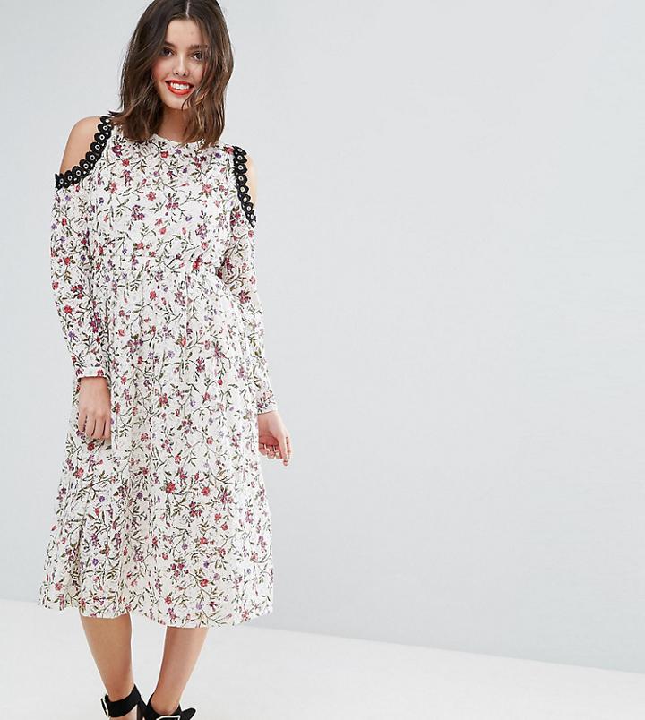 Asos Petite Printed Lace Midi Dress With Cold Shoulder And Metal Trim - Multi