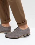 Dune Brogues In Gray Suede - Gray