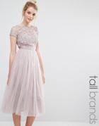 Little Mistress Tall Short Sleeve Lace Bodice Midi Dress With Tulle Skirt - Pink