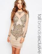 Maya Tall Allover Embellished Flesh Flash Mini Dress - Multi