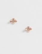 Ted Baker Rose Gold Bee Stud Earrings