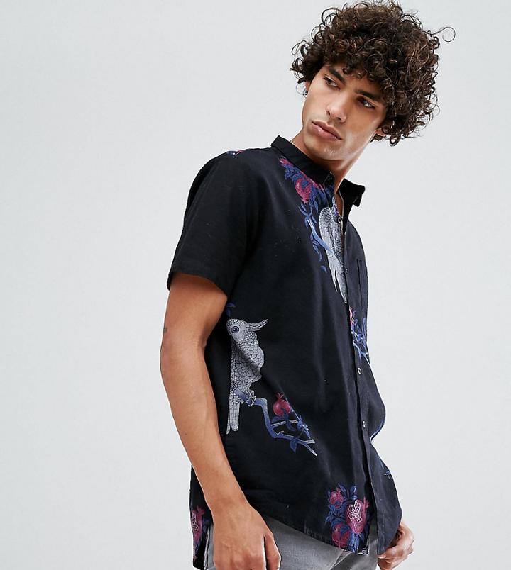 Rollas Bon Short Sleeve Shirt Big Bird Black - Black